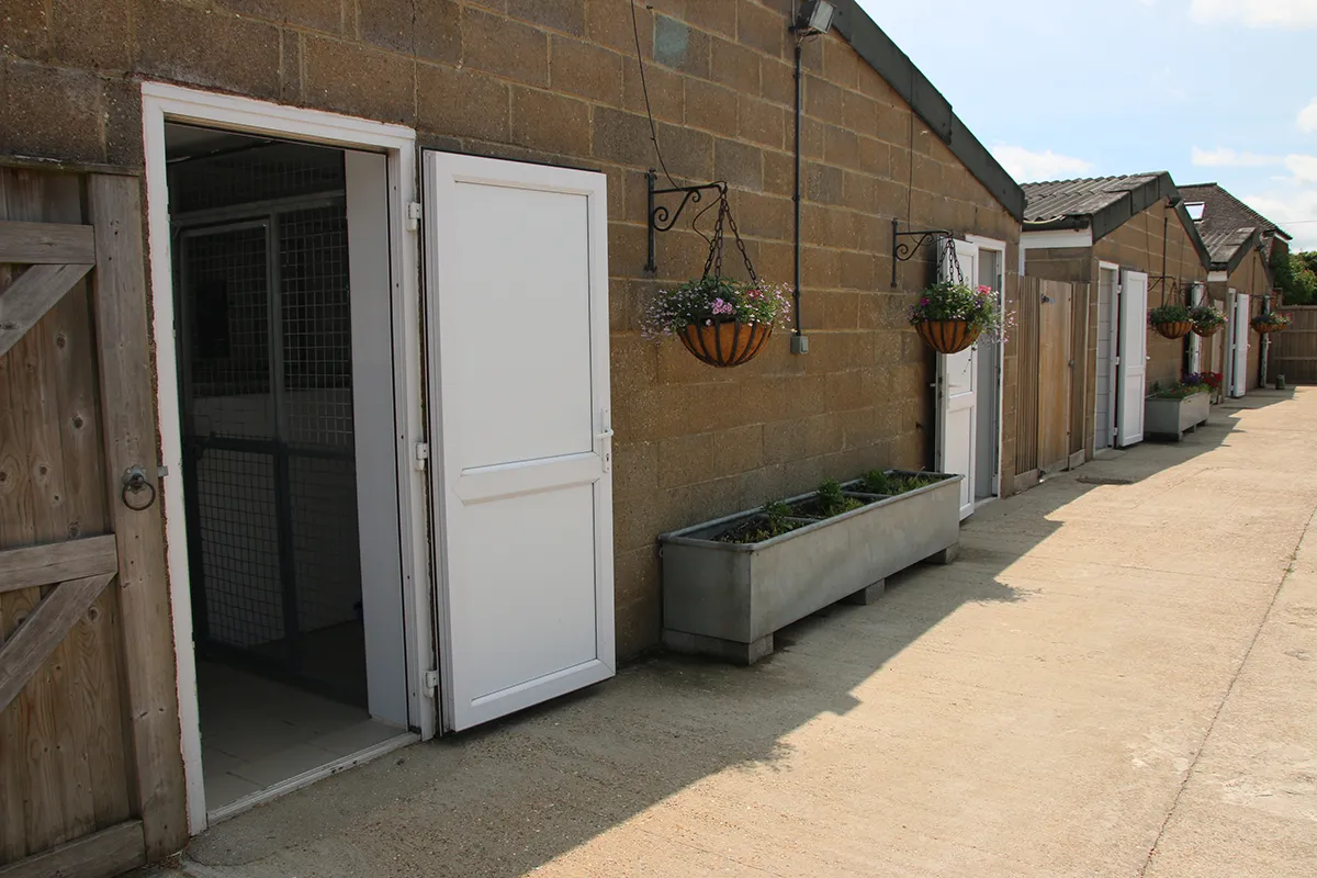 Tawnyhill Boarding Kennels - Kennel blocks on sunny day